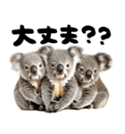 筆文字♡コアラ（個別スタンプ：17）