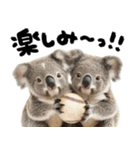 筆文字♡コアラ（個別スタンプ：30）