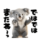 筆文字♡コアラ（個別スタンプ：32）