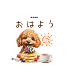 トイプードル☆名前入りスタンプ（個別スタンプ：1）