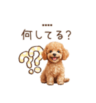 トイプードル☆名前入りスタンプ（個別スタンプ：8）