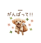 トイプードル☆名前入りスタンプ（個別スタンプ：9）