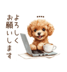 トイプードル☆名前入りスタンプ（個別スタンプ：12）