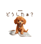 トイプードル☆名前入りスタンプ（個別スタンプ：18）