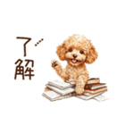 トイプードル☆名前入りスタンプ（個別スタンプ：19）