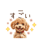 トイプードル☆名前入りスタンプ（個別スタンプ：23）