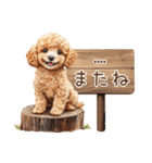 トイプードル☆名前入りスタンプ（個別スタンプ：40）