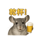 週末だ！リアルなチンチラのご褒美ライン（個別スタンプ：4）