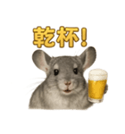 週末だ！リアルなチンチラのご褒美ライン（個別スタンプ：6）