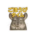 週末だ！リアルなチンチラのご褒美ライン（個別スタンプ：10）