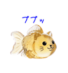 金魚ゼリーの猫、プルンと一言（個別スタンプ：2）