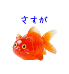 金魚ゼリーの猫、プルンと一言（個別スタンプ：5）