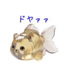 金魚ゼリーの猫、プルンと一言（個別スタンプ：12）