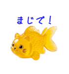 金魚ゼリーの猫、プルンと一言（個別スタンプ：14）