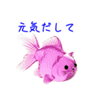 金魚ゼリーの猫、プルンと一言（個別スタンプ：16）