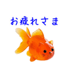 金魚ゼリーの猫、プルンと一言（個別スタンプ：19）