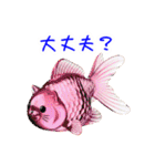 金魚ゼリーの猫、プルンと一言（個別スタンプ：20）
