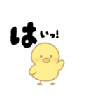 【毎日使える】ひよこスタンプセット2（個別スタンプ：12）