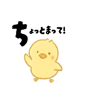 【毎日使える】ひよこスタンプセット2（個別スタンプ：19）