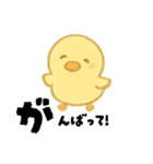 【毎日使える】ひよこスタンプセット2（個別スタンプ：21）