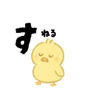 【毎日使える】ひよこスタンプセット2（個別スタンプ：40）
