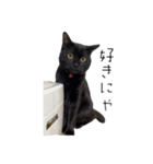 黒猫のけんちゃん2（個別スタンプ：6）
