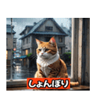 リアルアニメキャット - 40 Expressions（個別スタンプ：3）