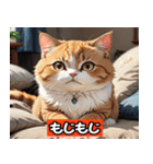 リアルアニメキャット - 40 Expressions（個別スタンプ：9）
