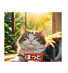 リアルアニメキャット - 40 Expressions（個別スタンプ：15）