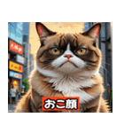 リアルアニメキャット - 40 Expressions（個別スタンプ：20）