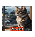 リアルアニメキャット - 40 Expressions（個別スタンプ：35）