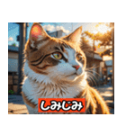 リアルアニメキャット - 40 Expressions（個別スタンプ：37）