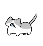 もっちりとした ねこ（個別スタンプ：1）