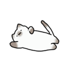 もっちりとした ねこ（個別スタンプ：2）