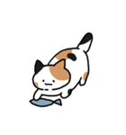 もっちりとした ねこ（個別スタンプ：5）
