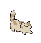 もっちりとした ねこ（個別スタンプ：8）