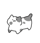 もっちりとした ねこ（個別スタンプ：9）