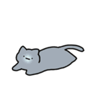 もっちりとした ねこ（個別スタンプ：12）