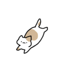 もっちりとした ねこ（個別スタンプ：15）