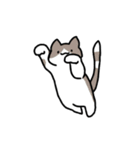 もっちりとした ねこ（個別スタンプ：16）