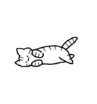 もっちりとした ねこ（個別スタンプ：24）