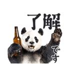 ビール！リアルなパンダ（やさしい敬語）（個別スタンプ：2）