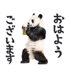 ビール！リアルなパンダ（やさしい敬語）（個別スタンプ：9）