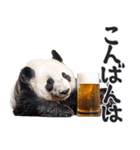ビール！リアルなパンダ（やさしい敬語）（個別スタンプ：11）