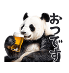 ビール！リアルなパンダ（やさしい敬語）（個別スタンプ：13）
