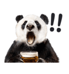ビール！リアルなパンダ（やさしい敬語）（個別スタンプ：15）