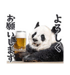 ビール！リアルなパンダ（やさしい敬語）（個別スタンプ：17）