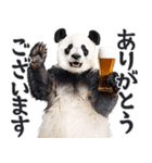 ビール！リアルなパンダ（やさしい敬語）（個別スタンプ：18）