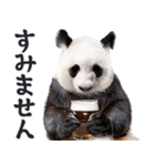 ビール！リアルなパンダ（やさしい敬語）（個別スタンプ：22）