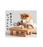 動く！リアル豆柴2（個別スタンプ：21）